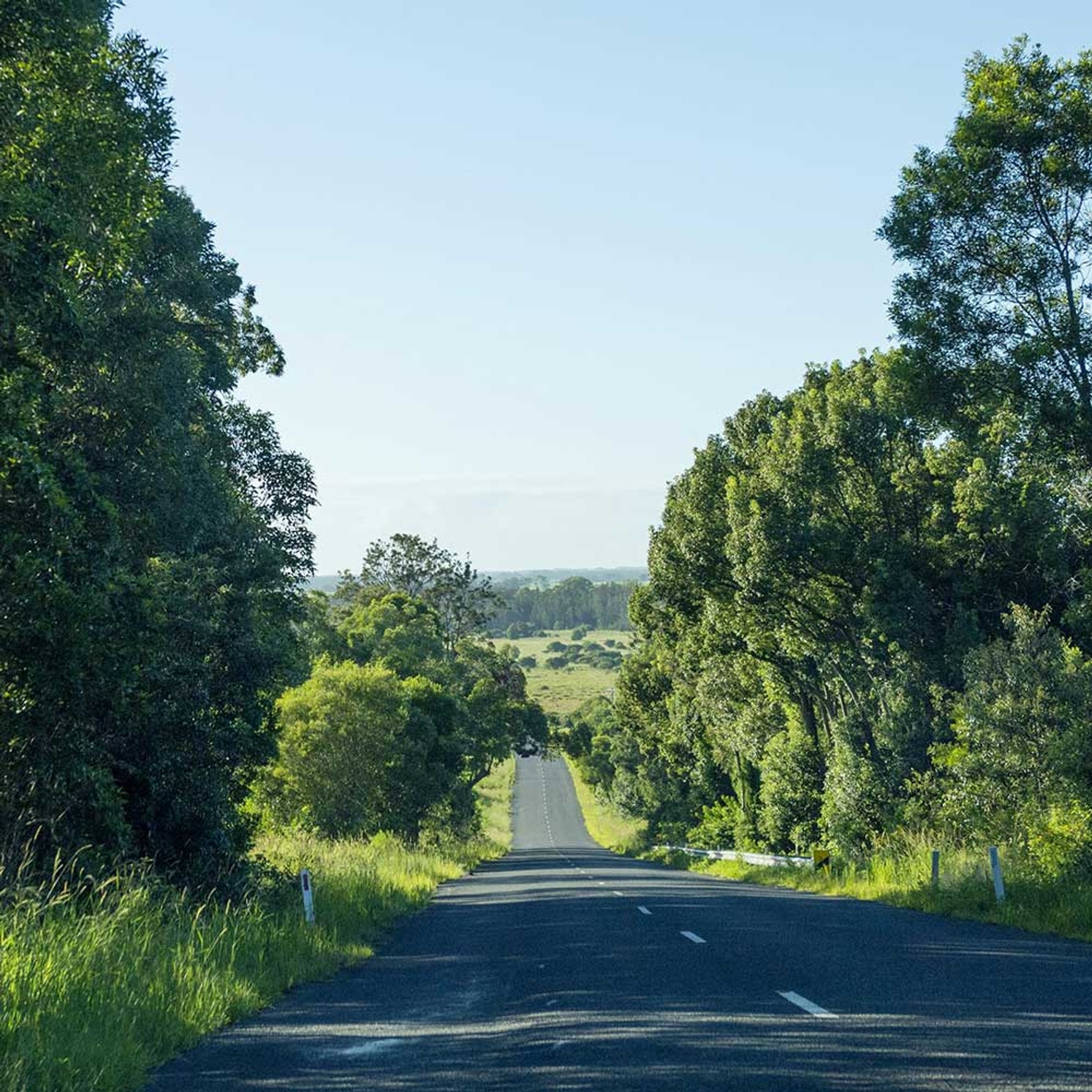 Lismore region