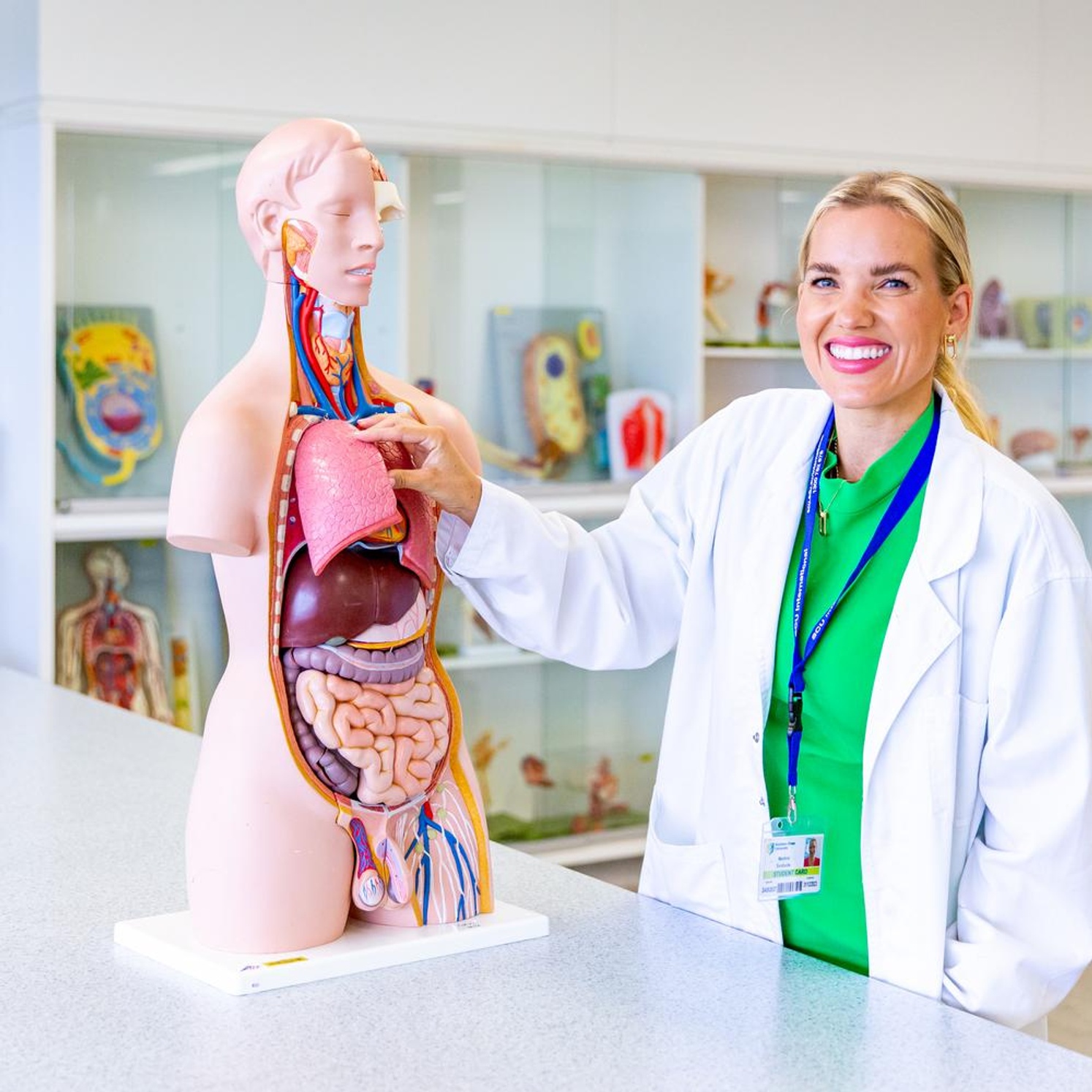 A science student looking at an anatomy model