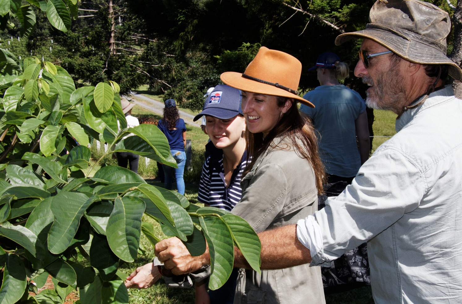 A group of people looking at fruit trees