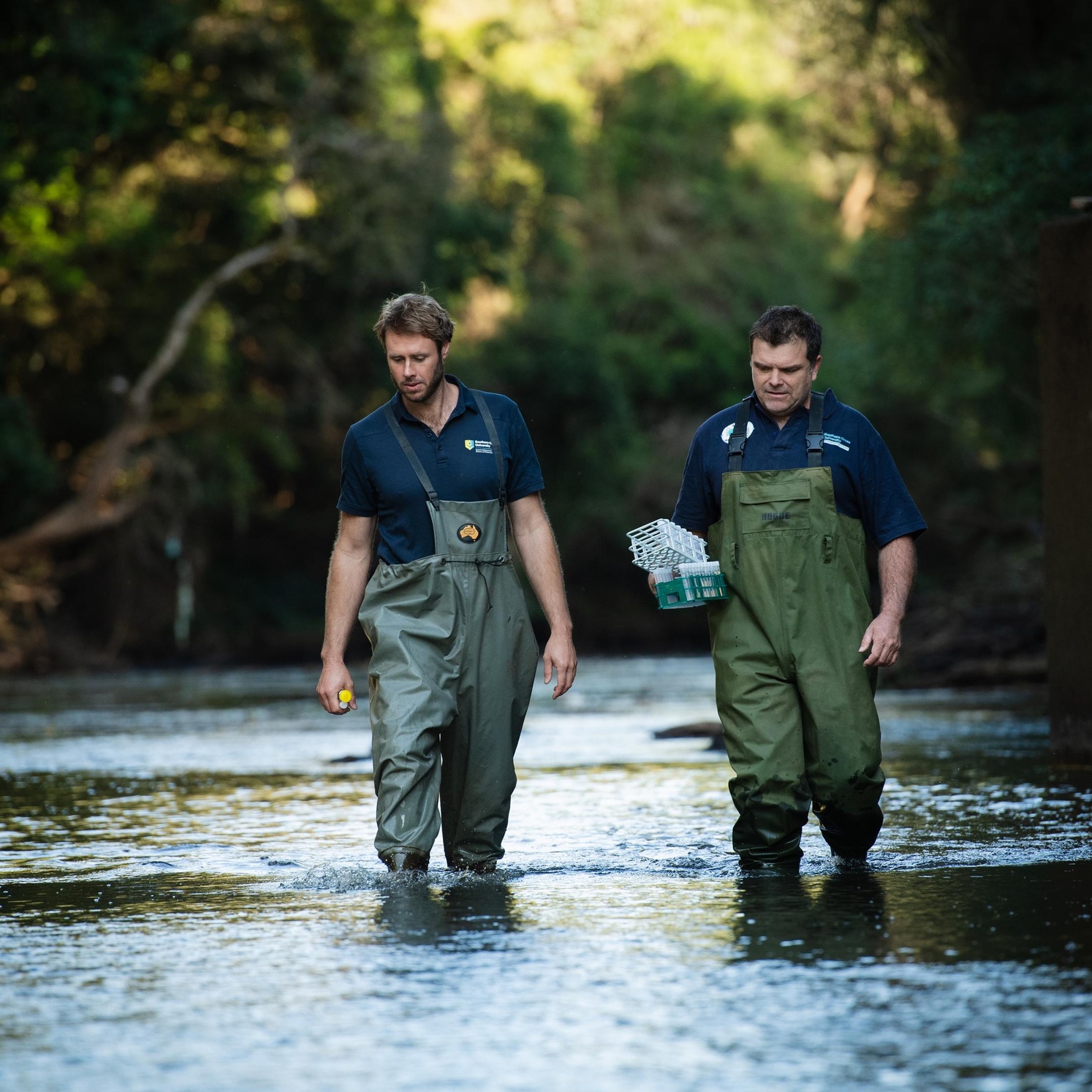 Research, environmental science, catchment