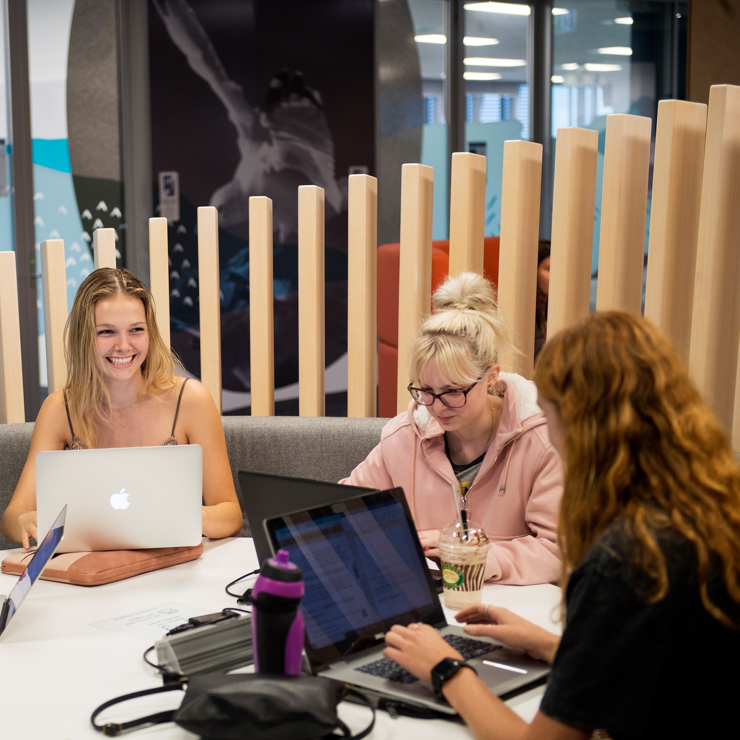 Bachelor of Business and Enterprise students studying in group