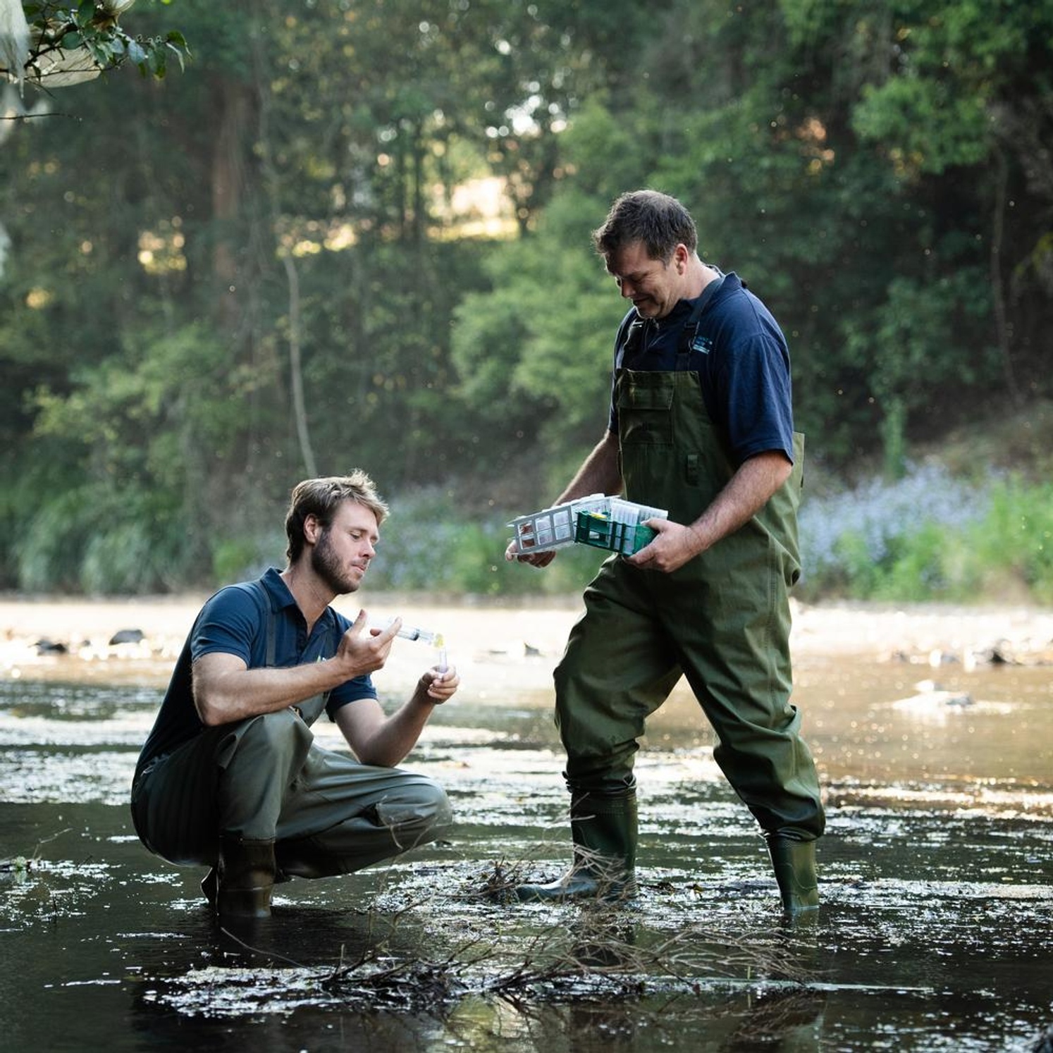 Fieldwork outdoor
