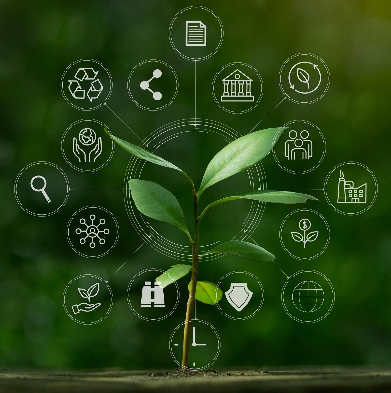 green leaves