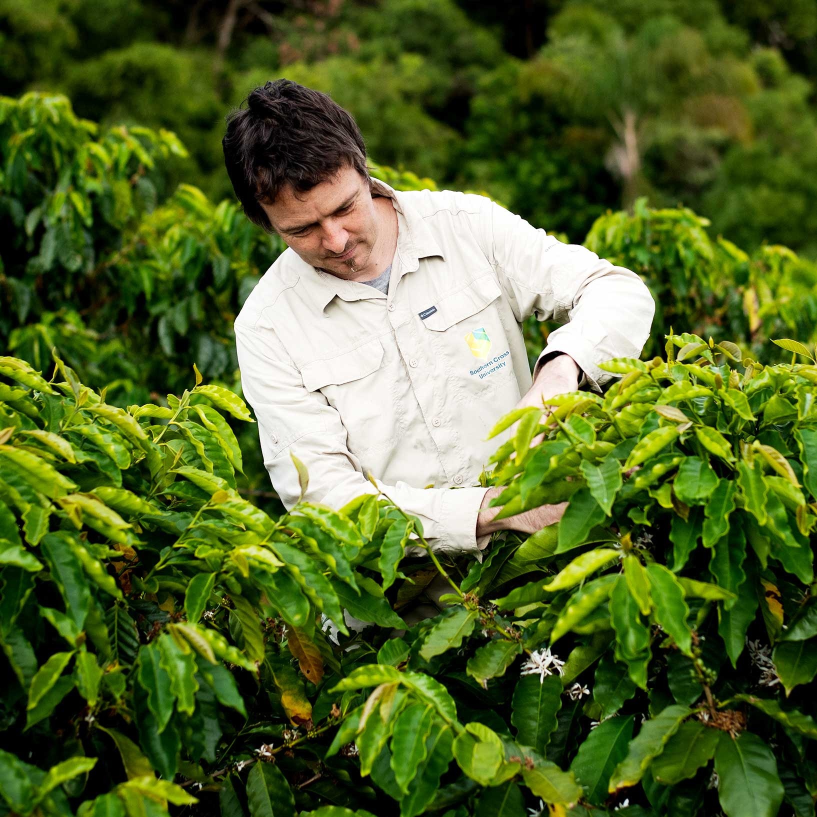 Tobias K conducting research in a cannabis