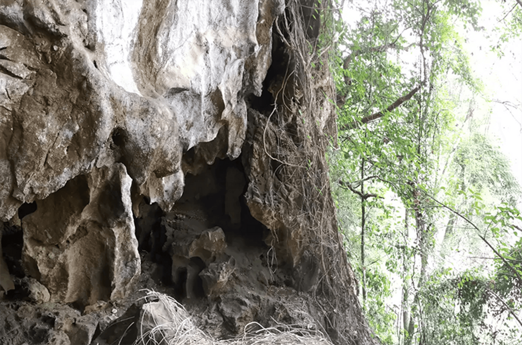 2022 - Fossil tooth places enigmatic ancient humans in Southeast Asia ...