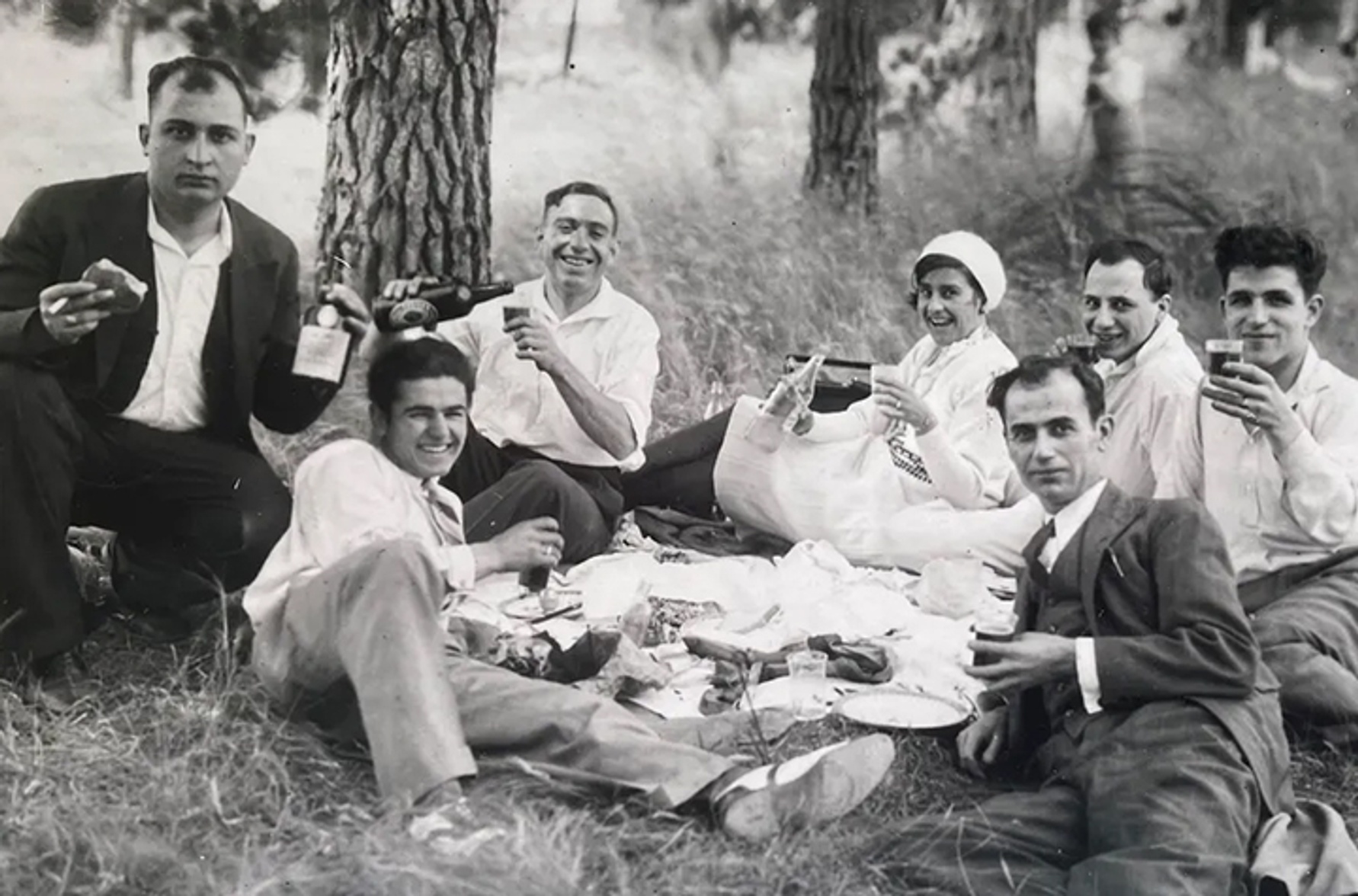 2022 A brief (political) history of Australian picnics Southern