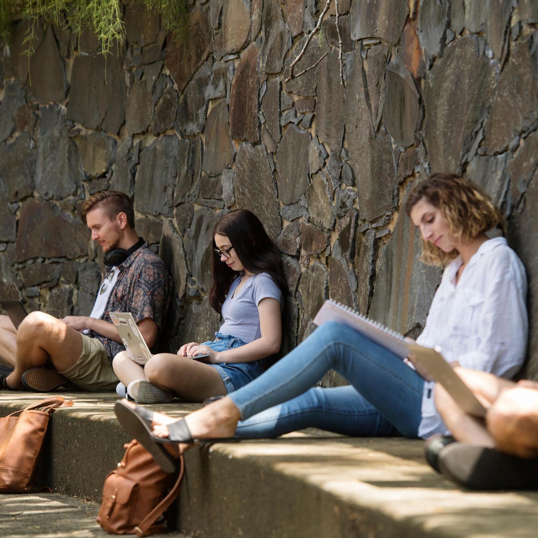 Students studying outside on campus