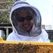 Anneliese Austin wearing protective bee gear while holding a bee tray
