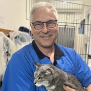 Man wearing blue shirt and glasses, smiling at cat holding a tabby grey cat
