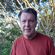 Photo of Paul Collins