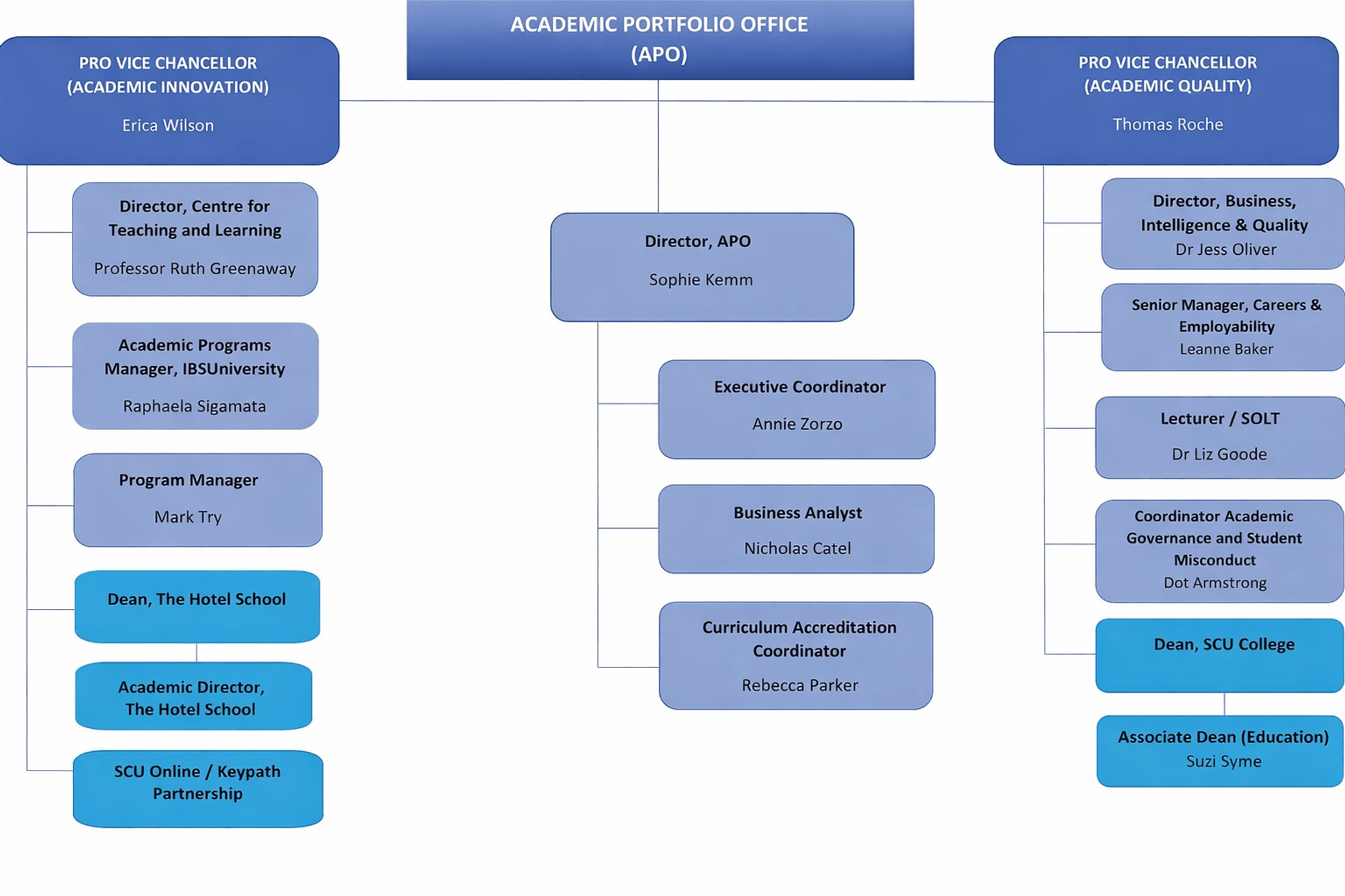 APO Team Structure Jan 2026