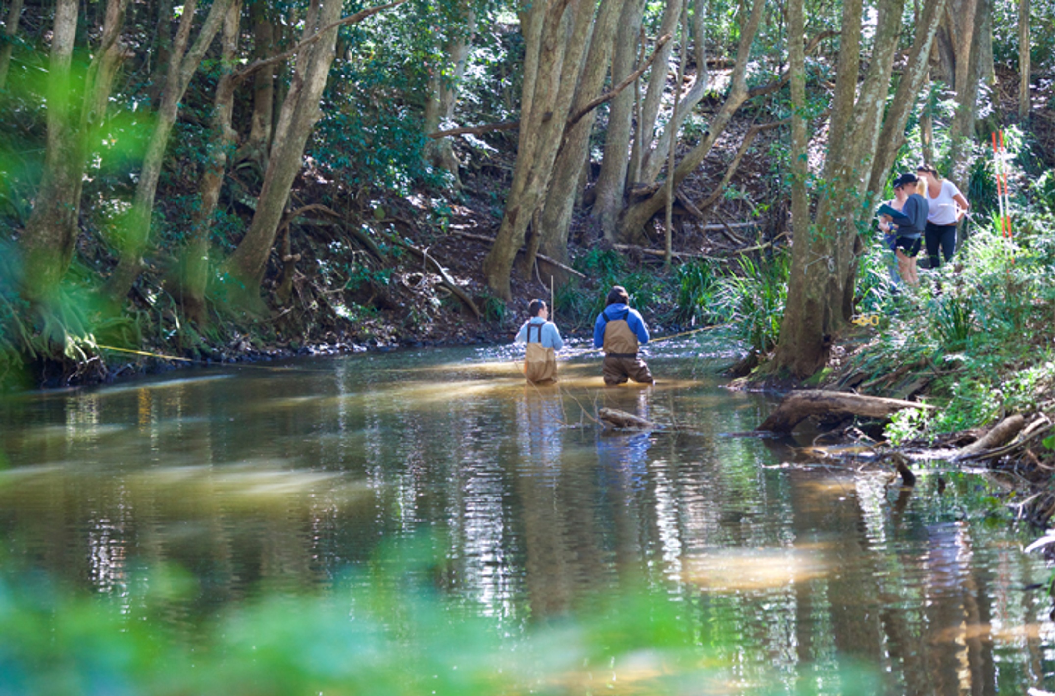 Eyre - freshwater research