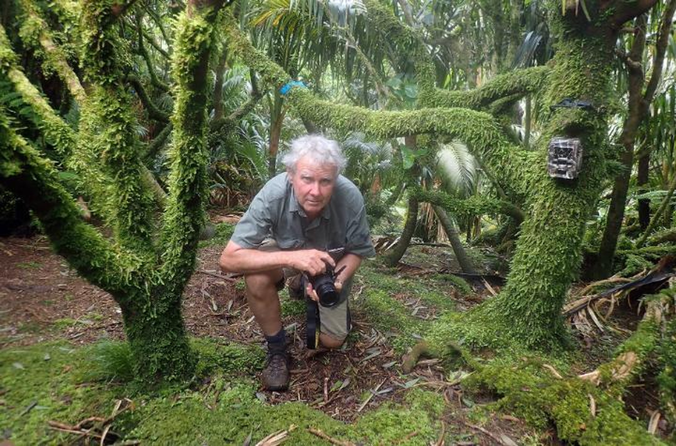 Man holding a camera squatting down in a rainforest