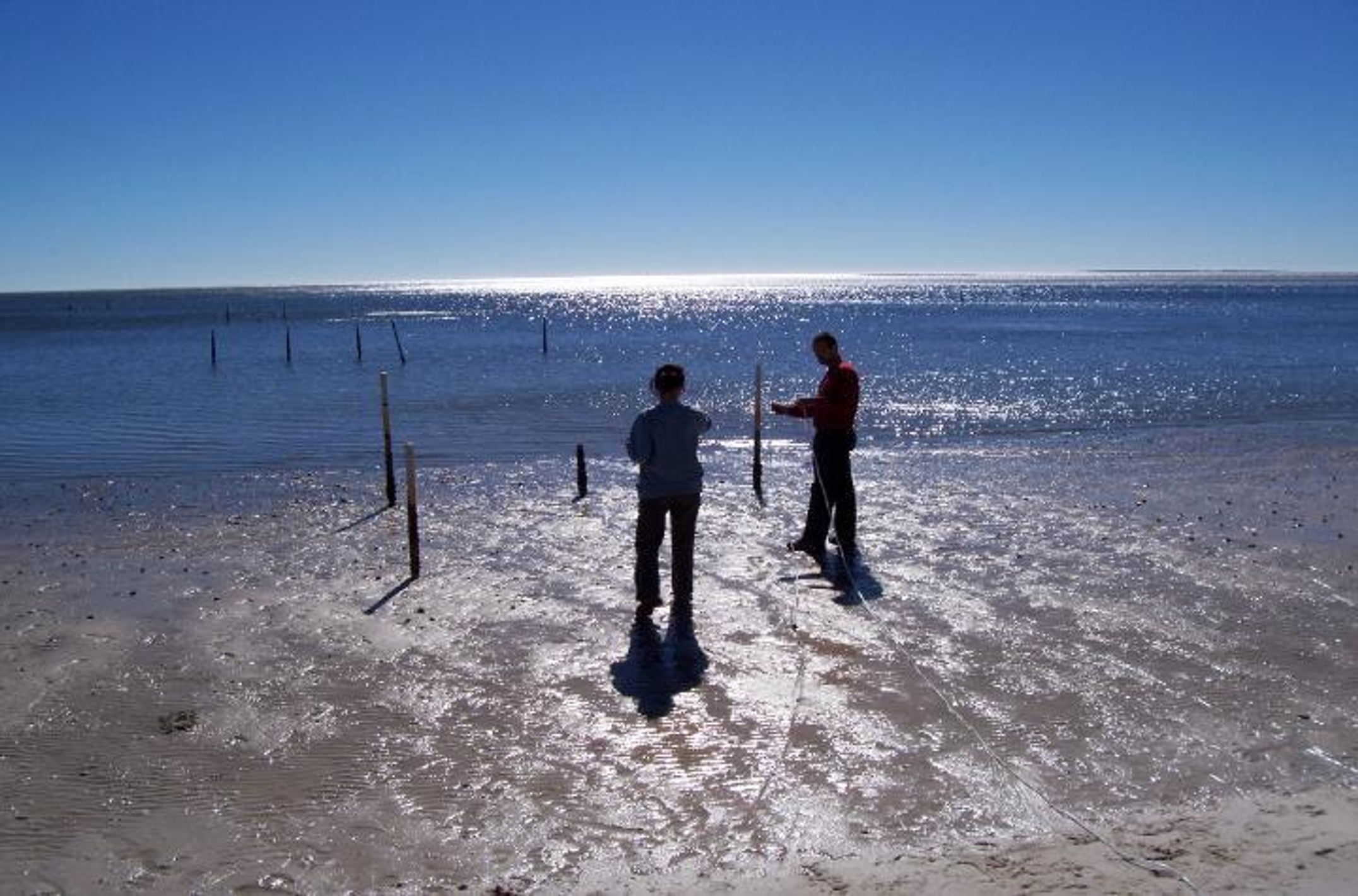 Two people on a beach shoreline setting up scientific instruments.