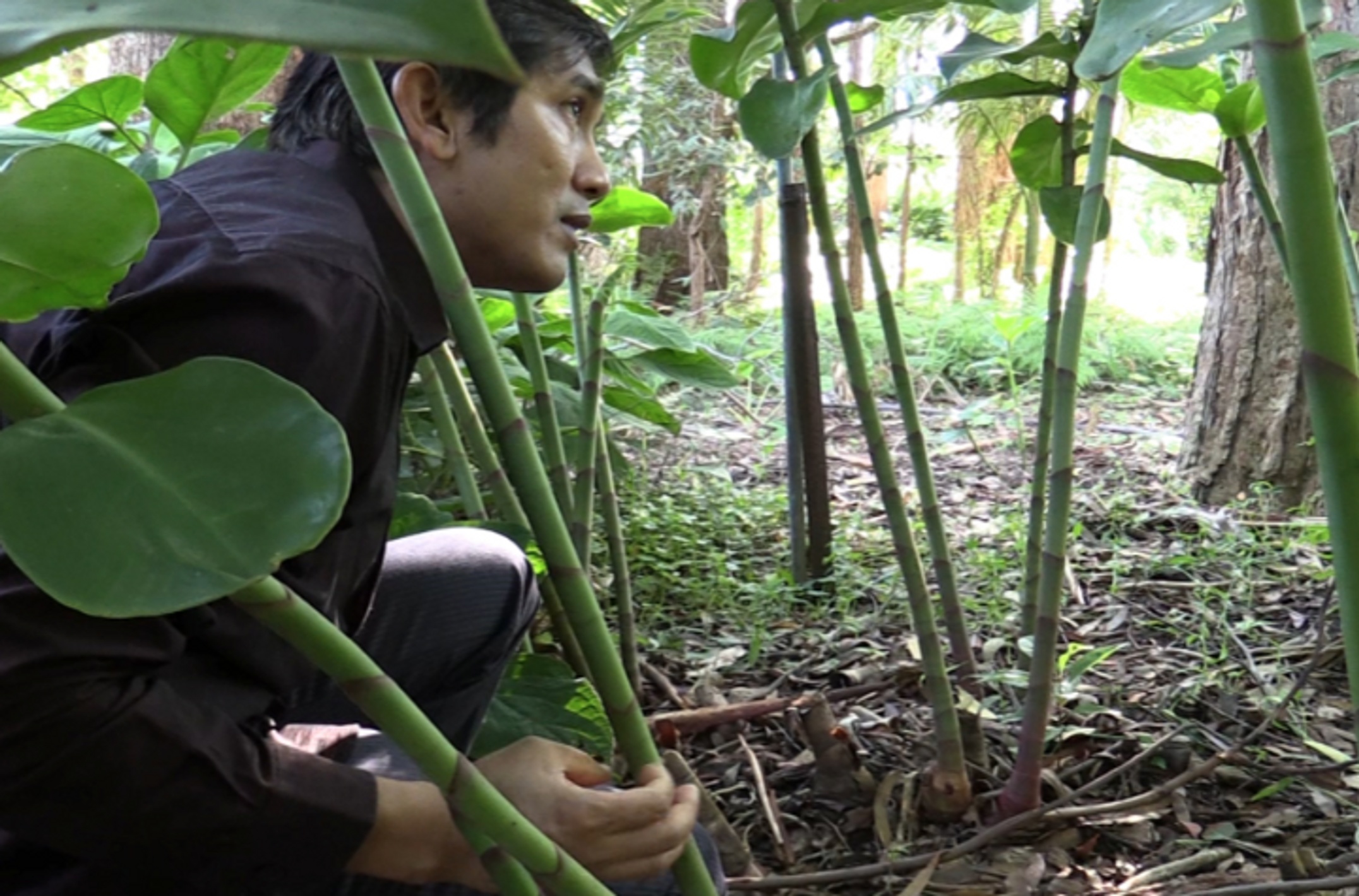 Myanmar community leader exploring a local garden