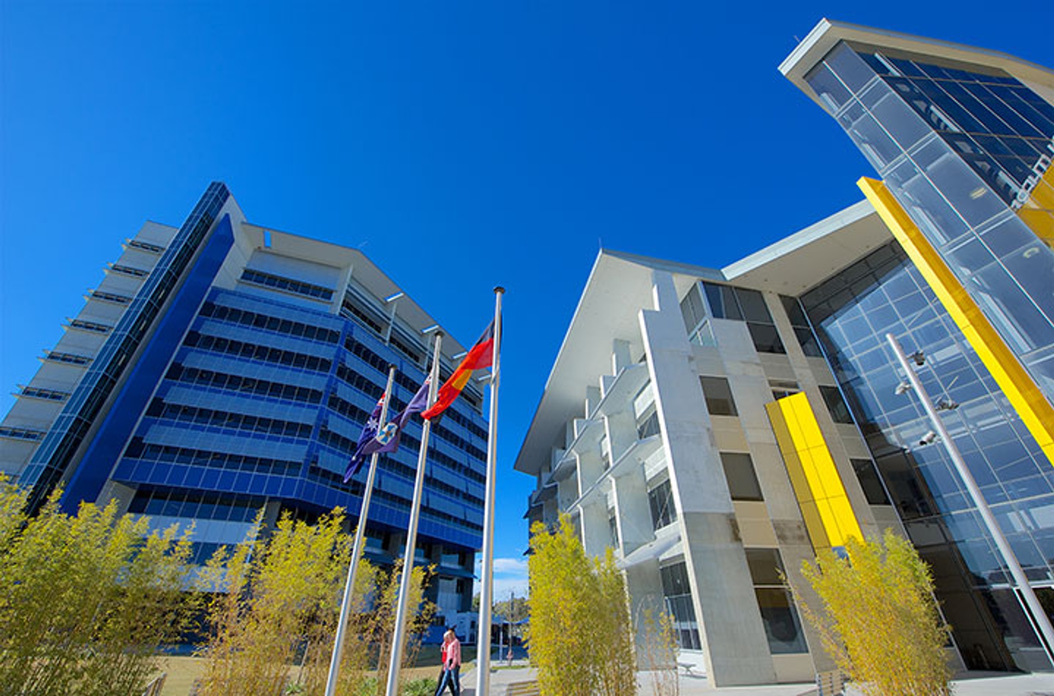 SCU Gold Coast campus exterior