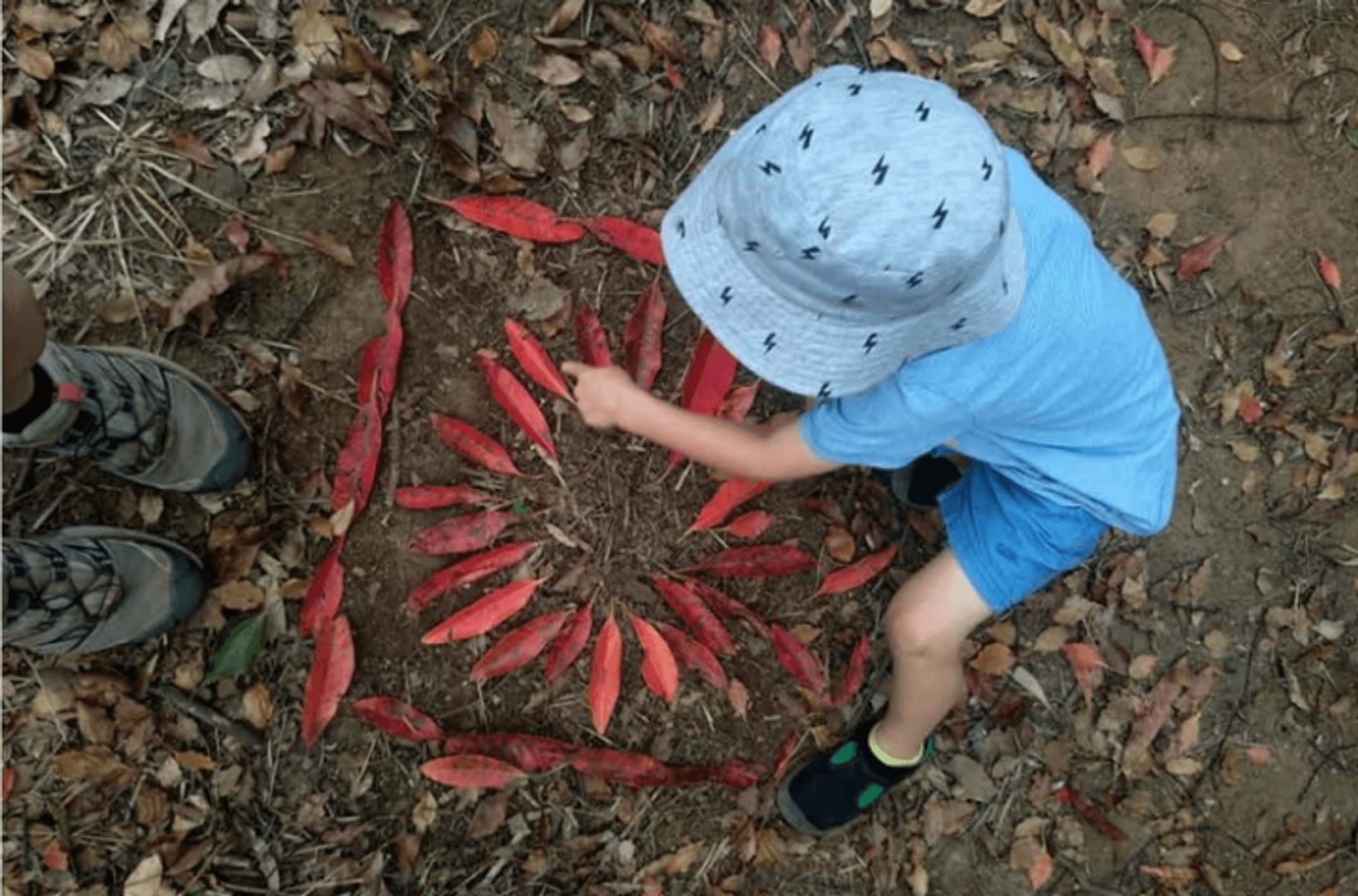 Child makes a pattern of leaves on the ground