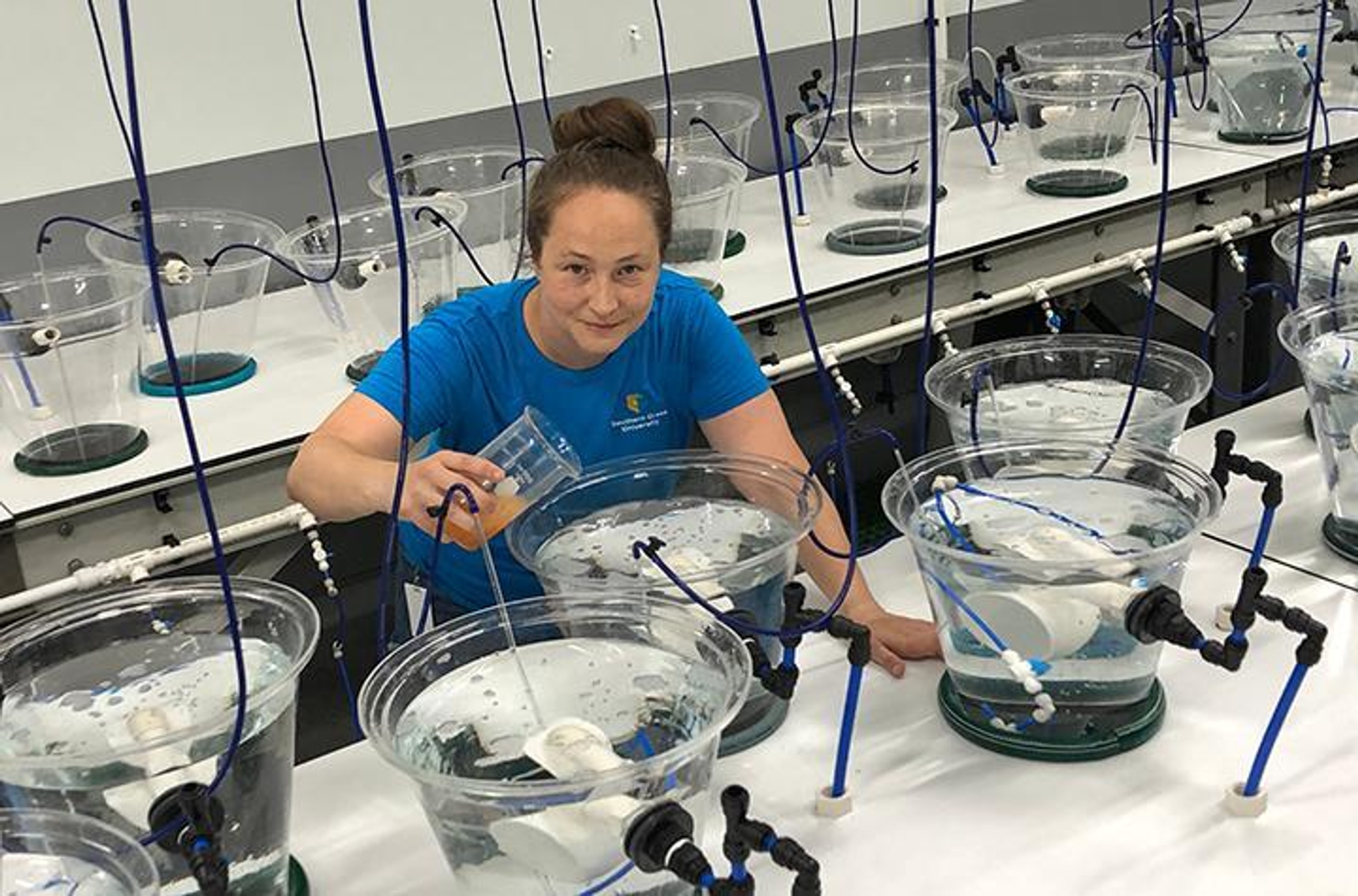 Colleen Rodd with food reared coral larvae experiment