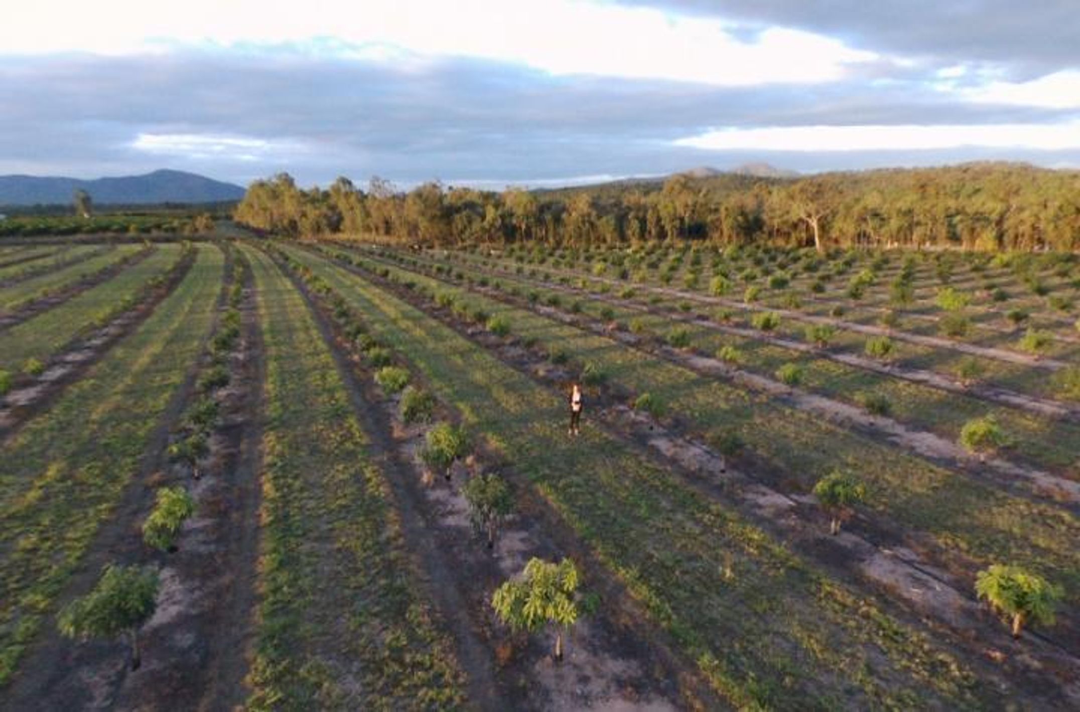 Southern Cross student Dayna Scapin takes a selfie with a drone