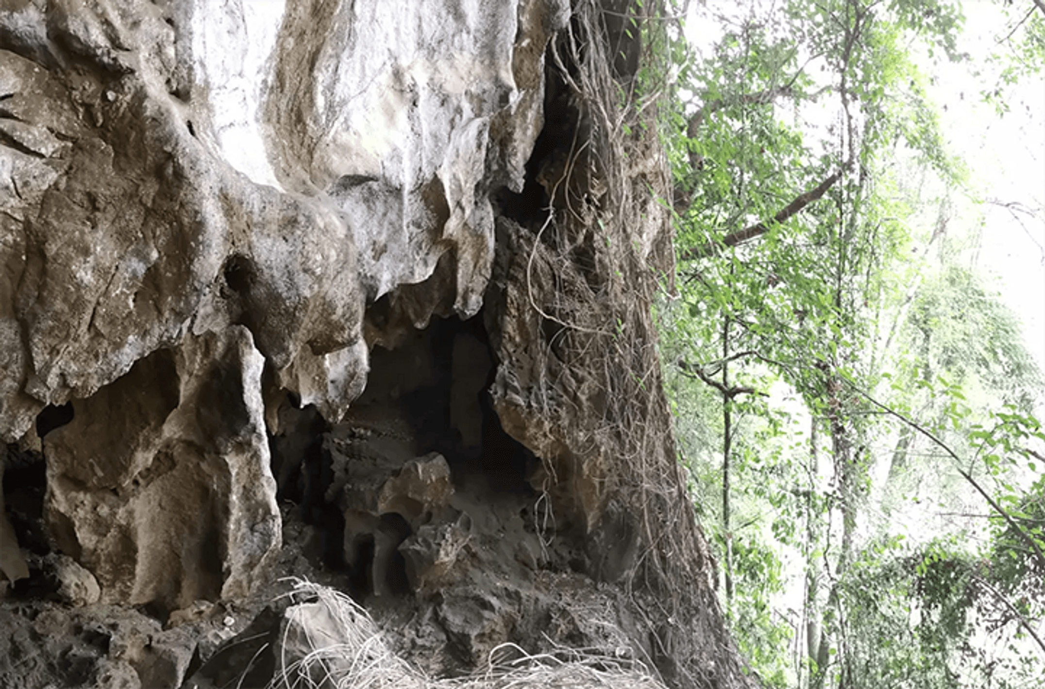 Ngu Hao 2 cave_credit University of Copenhagen