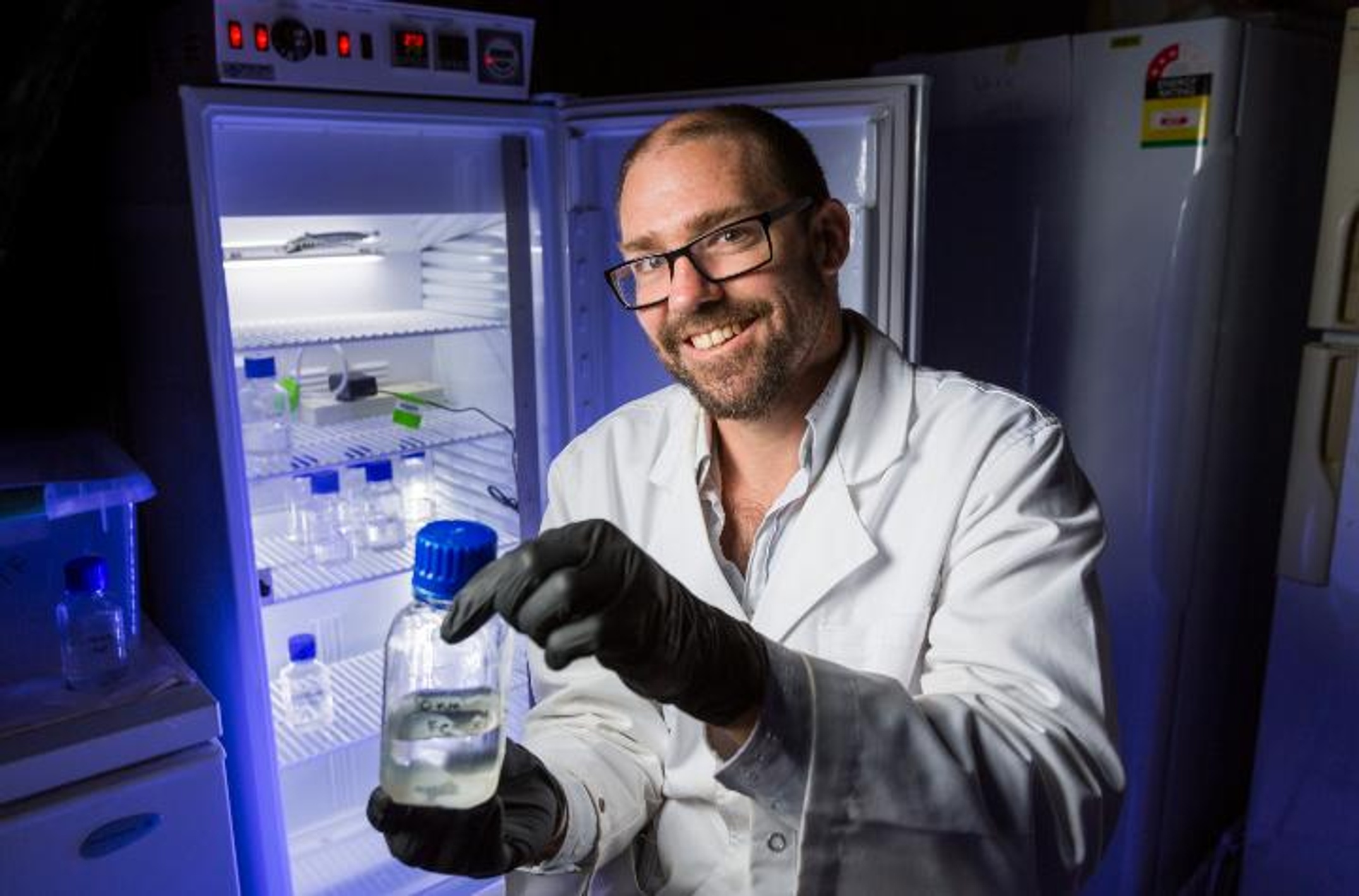 Professor Andrew Rose in laboratory