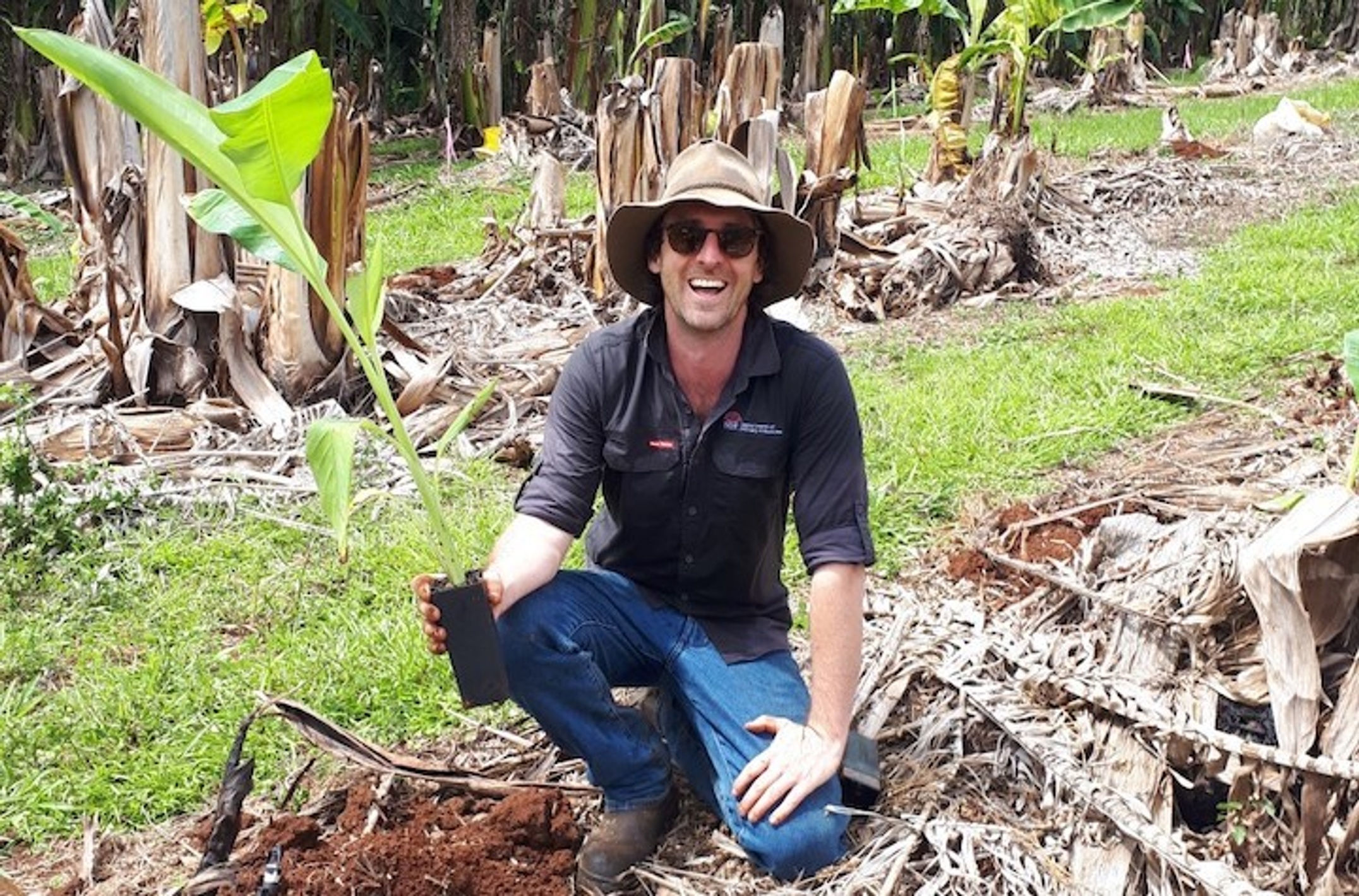 Man in a banana plantation
