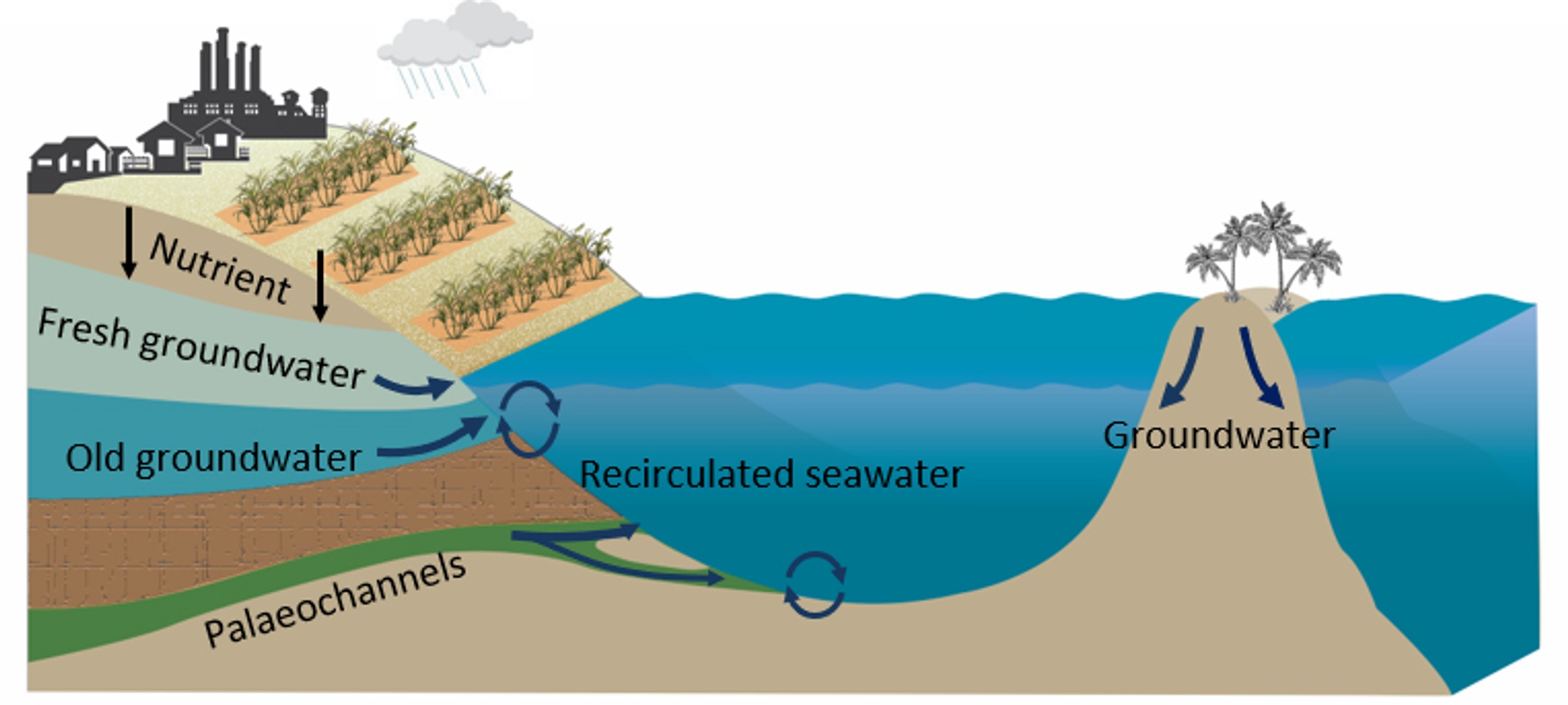 Groundwater sources on GBR_credit Douglas Tait