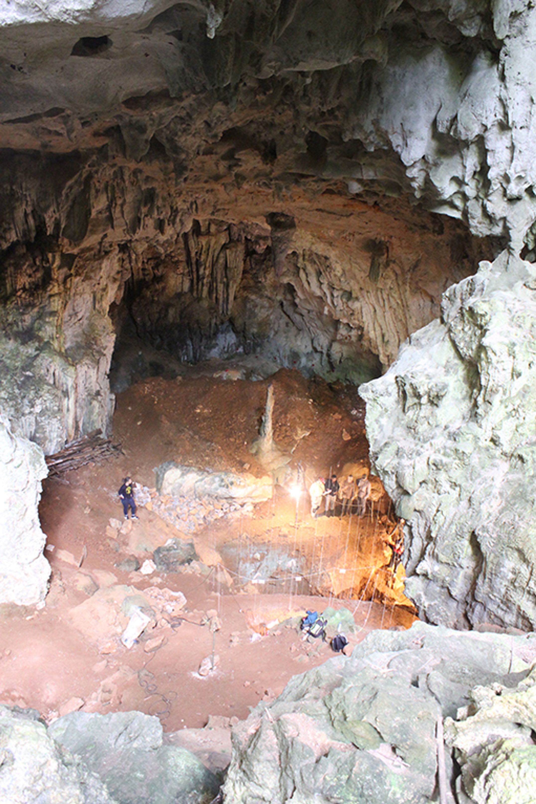 Tam Pa Ling cave sediments_credit Kira Westaway