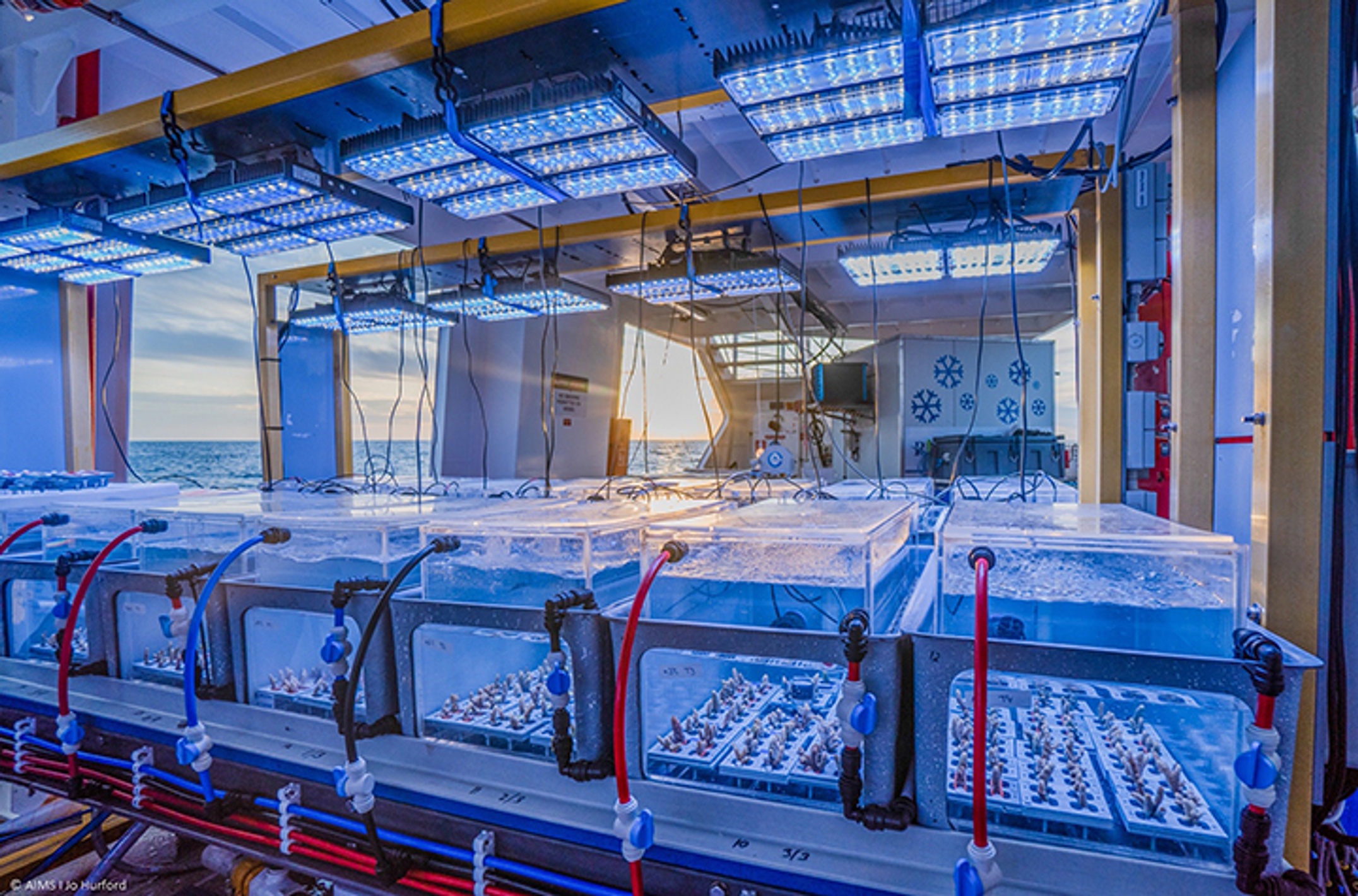 Experimental system used to test bleaching thresholds of over 500 coral colonies while at sea_credit AIMS Joanna Hurford