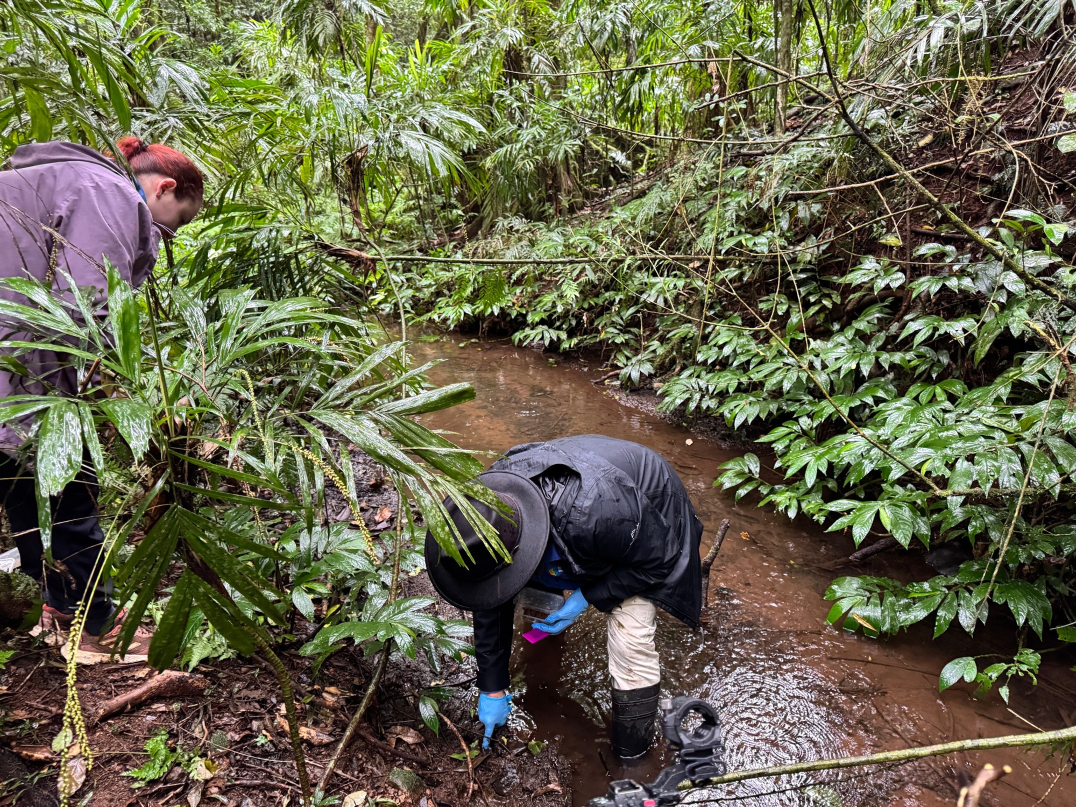 A man in gumboots standing in a creek wearing a black hat, face not visible