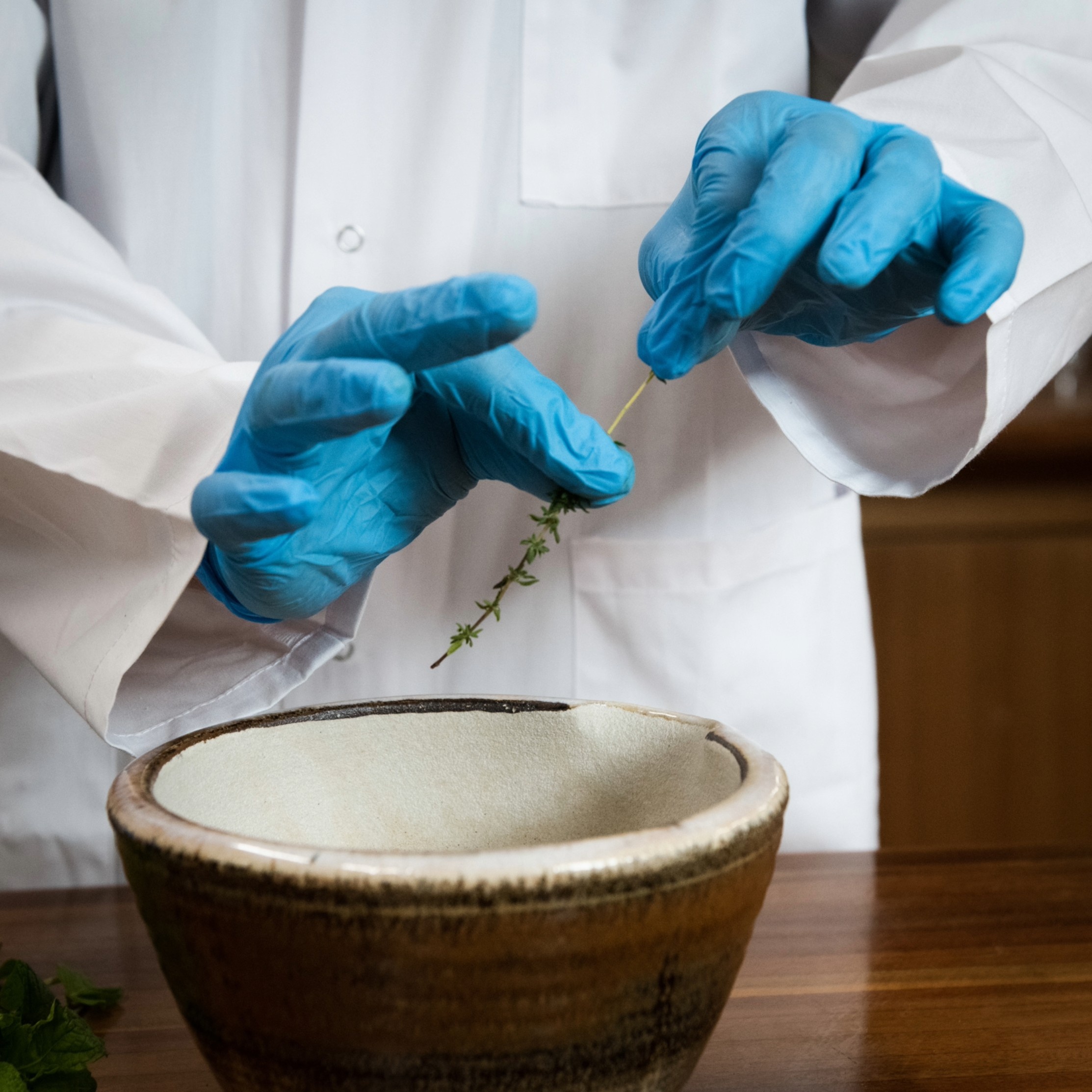 Person in lab coat and gloves putting herbs into a mortar pestle