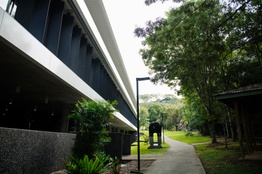 A modern campus building with a green rainforest backdrop