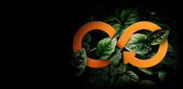 Dark background with green leaves entwined around an orange symbol