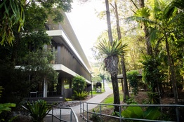 Corner of a modern building surrounded by rainforest