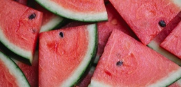 Slices of watermelon