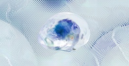 white brain illustration