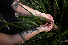 Woman holding leafy plant in arms