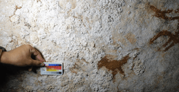 Image of a 67,800 year old hand stencil found on the island of Sulawesi