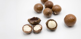 Raw macadamia nuts showing whole and open shells
