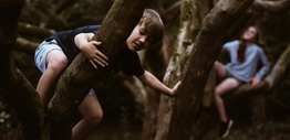 Boy and girl climbing up trees