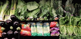 Colourful organic vegetables on display in market
