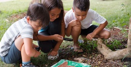 three children look through a magnifying glass