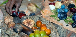Aboriginal woman hand assorting fruit and seeds food
