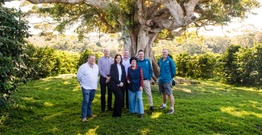 A group of people stand underneath a large tree