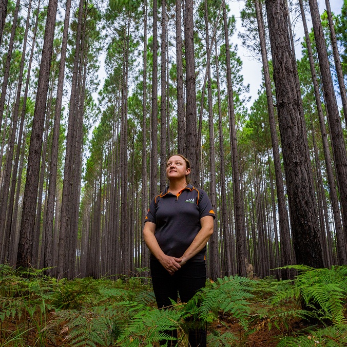 A woman standing in a plantation forest