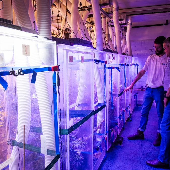 Two men stand looking at some illuminated plant chambers