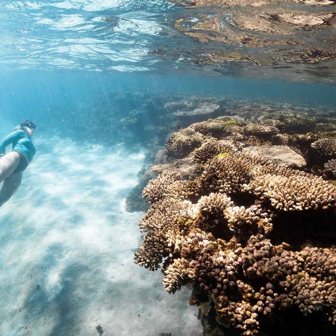 A woman swimming near a coral reef