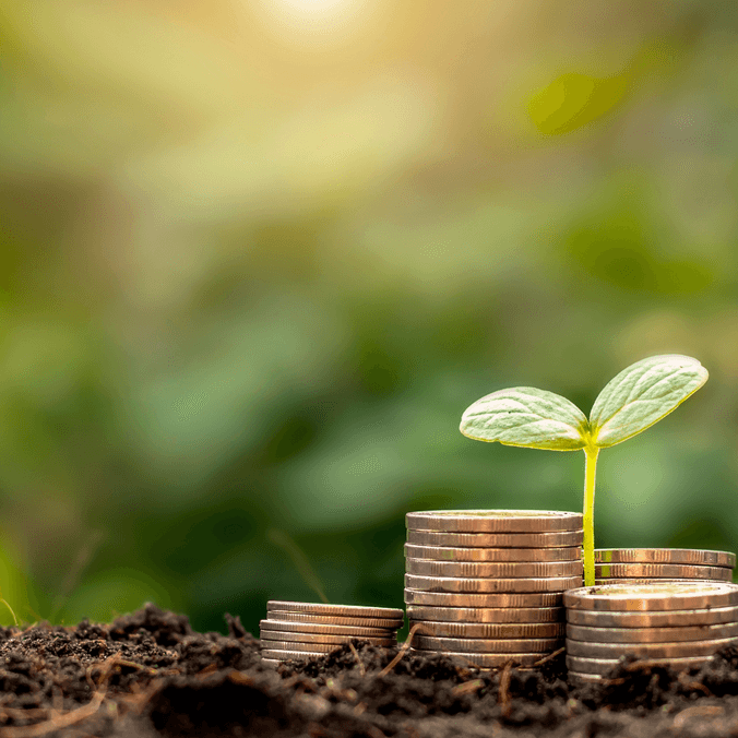 A tiny seedling from a pile of coins as a metaphor for growth - postgrad finance workshop banner