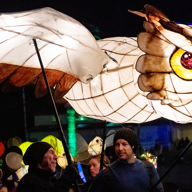 Owl lantern - Lismore Lantern Parade