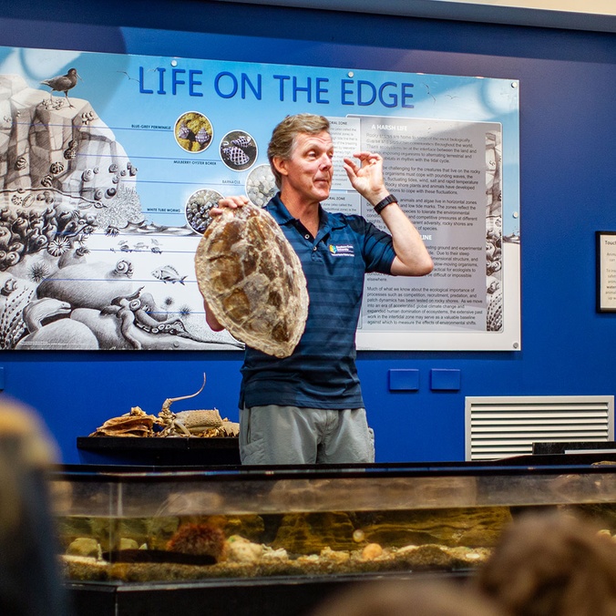 National Marine Science Centre Open Day 2025